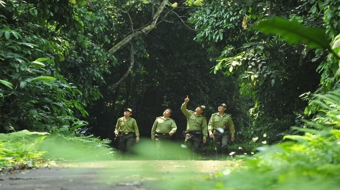 Ảnh minh họa Ảnh minh họa