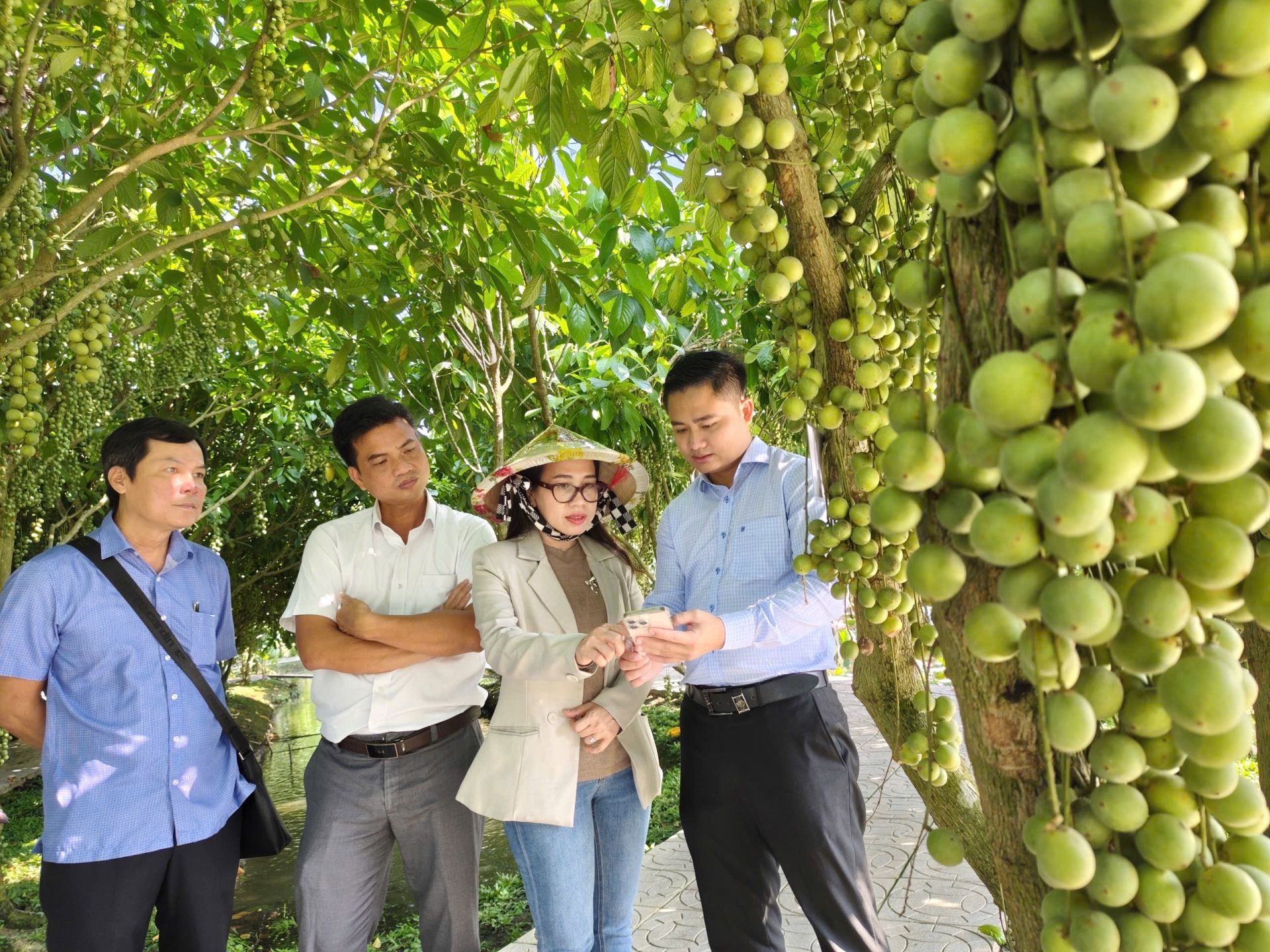 Agribank Chi nhánh Kiên Giang tiếp sức mô hình du lịch M88 hiện đang mở