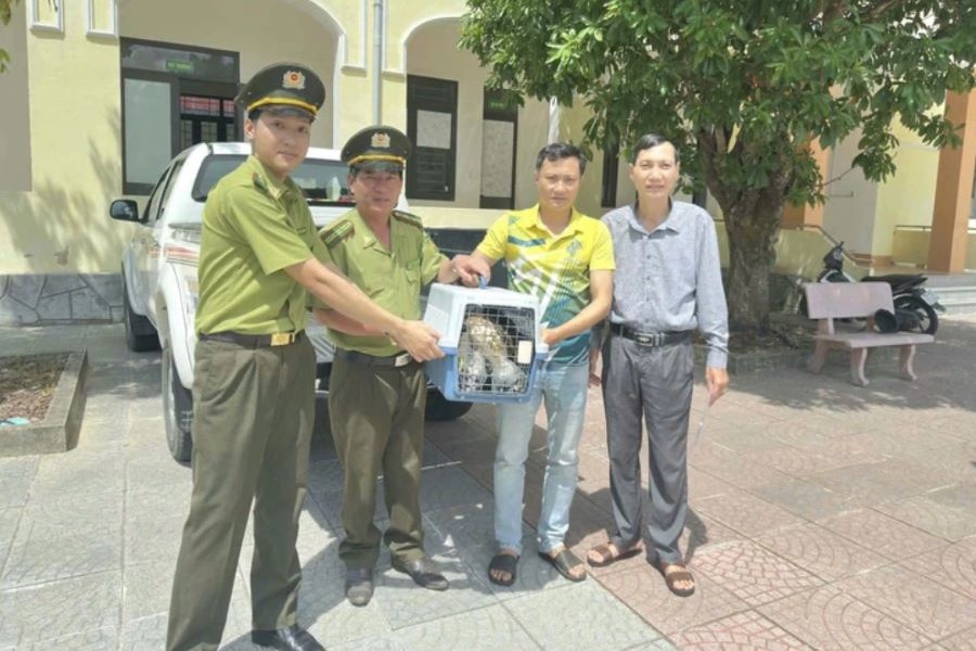 Hạt Kiểm lâm Tuyên Hóa tiếp nhận 2 cá thể chim ưng Ấn Độ từ người dân Hạt Kiểm lâm Tuyên Hóa tiếp nhận 2 cá thể chim ưng Ấn Độ từ người dân