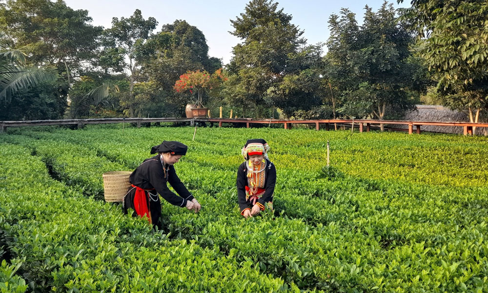 Bắc Ninh phê duyệt Đề án hỗ trợ Thanh niên khởi nghiệp giai đoạn 2026 - 2030