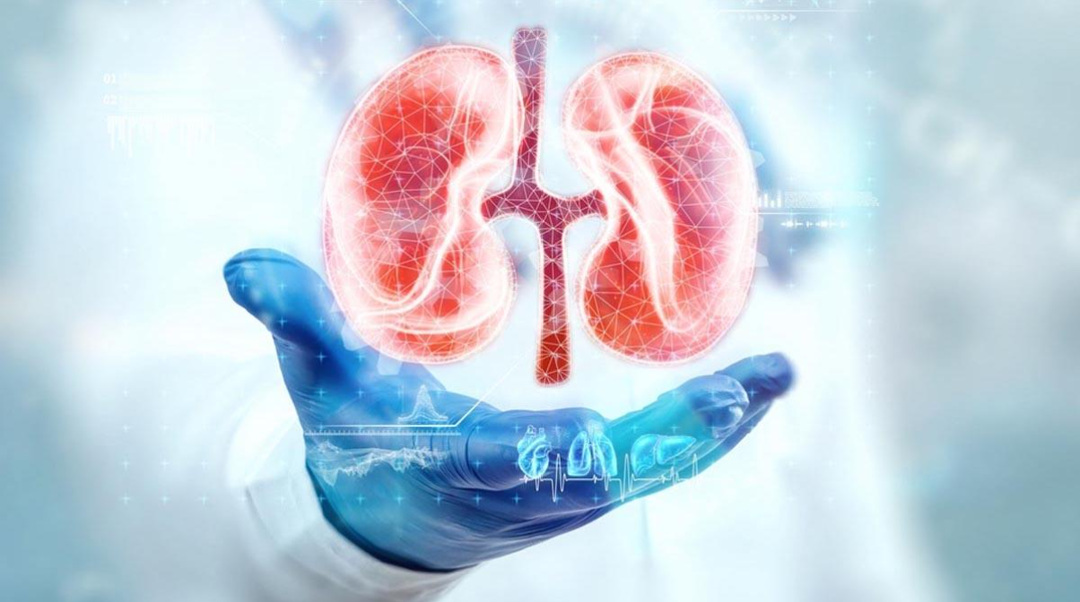Suy thận giai đoạn 2 là thời điểm các “bộ lọc” bắt đầu suy yếu Suy thận giai đoạn 2 là thời điểm các “bộ lọc” bắt đầu suy yếu