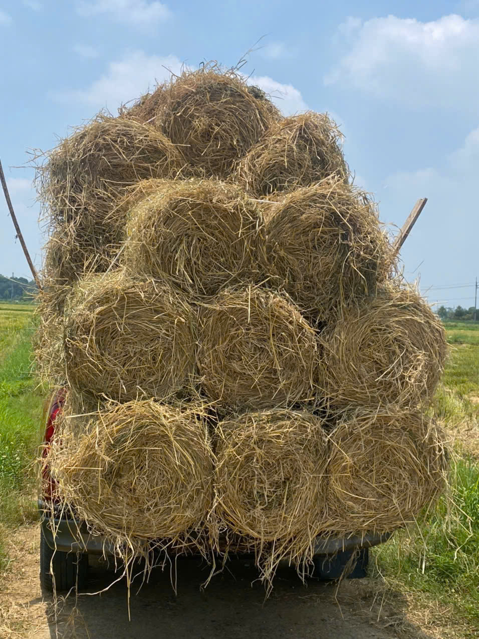 Máy cuộn rơm rạ giúp thu gom phụ phẩm sau thu hoạch, góp phần giảm ô nhiễm môi trường và nâng cao giá trị sản xuất nông nghiệp. Máy cuộn rơm rạ giúp thu gom phụ phẩm sau thu hoạch, góp phần giảm ô nhiễm môi trường và nâng cao giá trị sản xuất nông nghiệp.