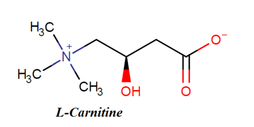 L-Carnitine fumarate giúp tái tạo da, ngăn mề đay, dị ứng tái phát L-Carnitine fumarate giúp tái tạo da, ngăn mề đay, dị ứng tái phát