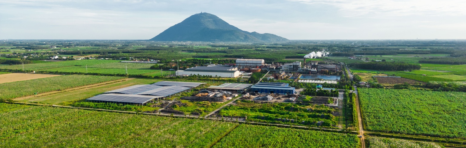 Thành Thành Công – Biên Hòa bị xử phạt 175 triệu đồng do công bố sai lệch việc sử dụng vốn trái phiếu
