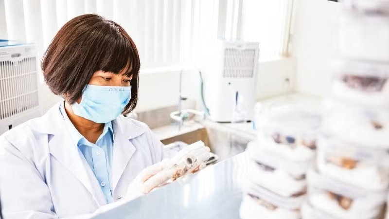 Nghi&ecirc;n cứu giải tr&igrave;nh tự gien thế hệ mới tại Trung t&acirc;m Gi&aacute;m định ADN. (Ảnh: MINH ĐỨC)