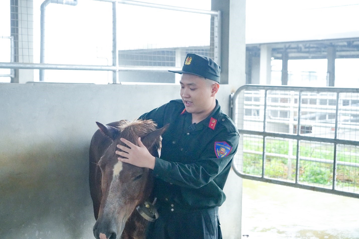 Chú ngựa tên Red và Trung úy Nguyễn Phi Hải, Đội 3, Đoàn CSCĐ Kỵ binh bịn rịn bên nhau trước giờ chia tay Chú ngựa tên Red và Trung úy Nguyễn Phi Hải, Đội 3, Đoàn CSCĐ Kỵ binh bịn rịn bên nhau trước giờ chia tay