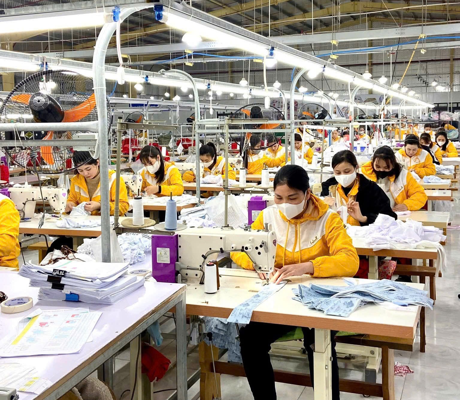 Lào Cai triển khai Chương trình hỗ trợ kinh doanh bền vững giai đoạn 2026 - 2030