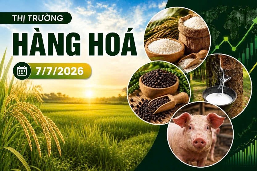 Thị trường hàng hóa ngày 7/7: Cao su nối đà phục hồi, nông sản ít biến động, heo hơi hạ nhiệt tại miền Bắc