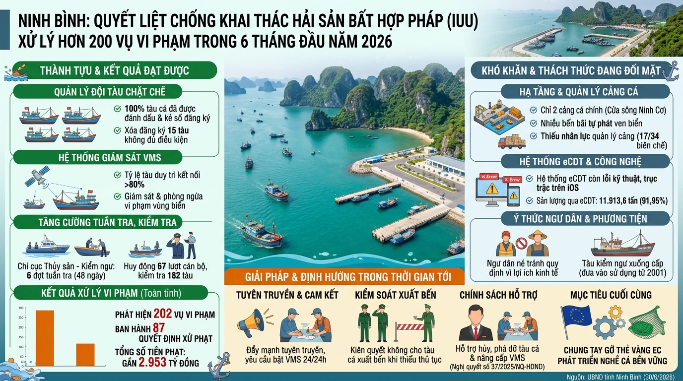 Ninh Bình: Quyết liệt chống khai thác hải sản bất hợp pháp, xử lý hơn 200 vụ vi phạm trong 6 tháng đầu năm