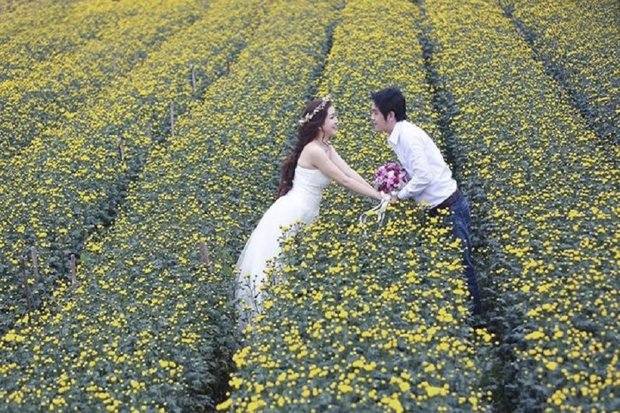 Làng hoa Thái Phiên Đà Lạt là một điểm đến hấp dẫn nhiều du khách ghé thăm. Làng hoa Thái Phiên Đà Lạt là một điểm đến hấp dẫn nhiều du khách ghé thăm.