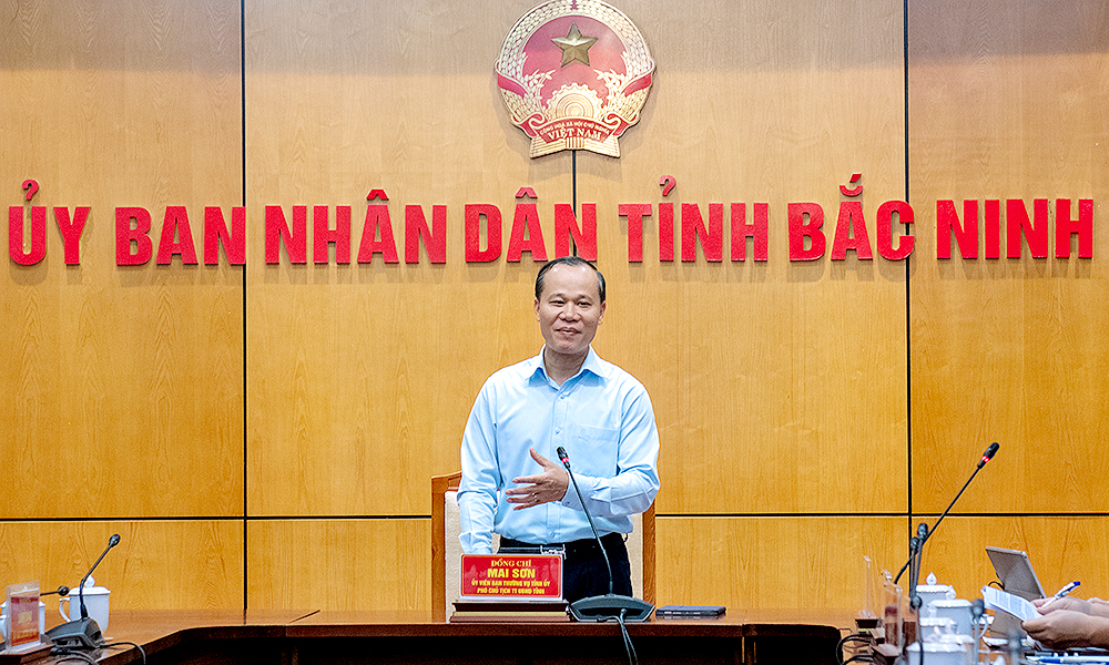 Đồng ch&iacute; Mai Sơn, Ph&oacute; Chủ tịch Thường trực UBND tỉnh kết luận c&aacute;c nội dung l&agrave;m việc.