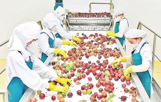 Cải cách thủ tục nhập khẩu nguyên liệu cho chế biến nông sản