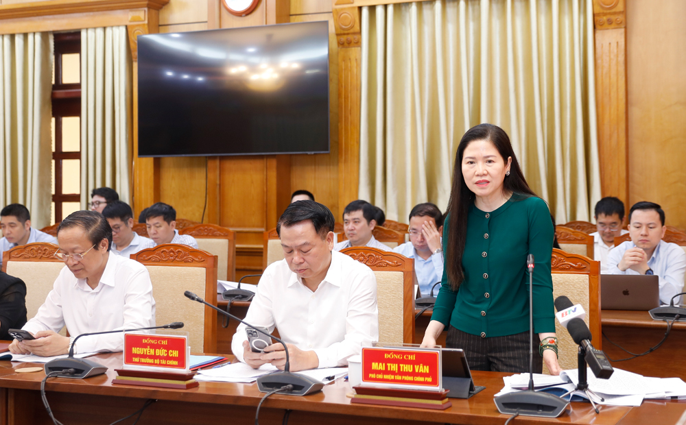 Đồng ch&iacute; Mai Thị Thu V&acirc;n, Ph&oacute; Chủ nhiệm Văn ph&ograve;ng Ch&iacute;nh phủ ph&aacute;t biểu.