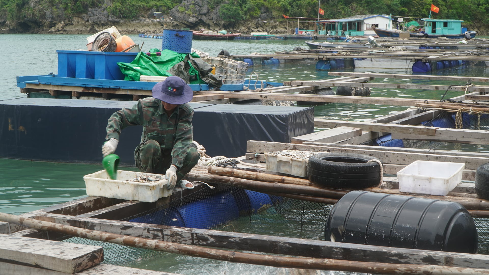Quảng Ninh tăng tốc chinh phục mốc 200.000 tấn thuỷ sản năm 2026