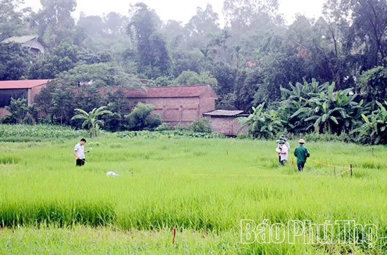 Việc đo đạc, thu thập dữ liệu đất đai đang được c&aacute;c địa phương triển khai quyết liệt.
