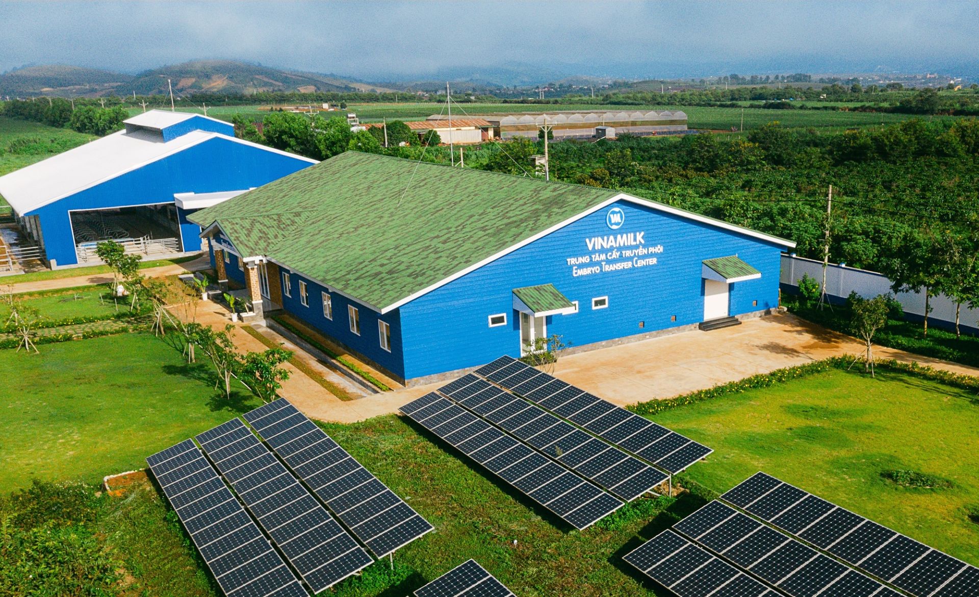 Doanh nghiệp chuyển đổi xanh: Lợi thế cạnh tranh hay áp lực chi phí?