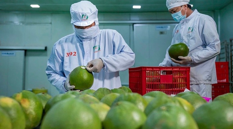 Một sản phẩm xuất khẩu không bắt đầu ở cửa khẩu. Nó bắt đầu từ giống cây, con; quy trình sản xuất; chất lượng đất và nước; việc sử dụng vật tư nông nghiệp; mã số vùng trồng, vùng nuôi; thu hoạch, bảo quản, chế biến, vận chuyển và kiểm nghiệm Một sản phẩm xuất khẩu không bắt đầu ở cửa khẩu. Nó bắt đầu từ giống cây, con; quy trình sản xuất; chất lượng đất và nước; việc sử dụng vật tư nông nghiệp; mã số vùng trồng, vùng nuôi; thu hoạch, bảo quản, chế biến, vận chuyển và kiểm nghiệm