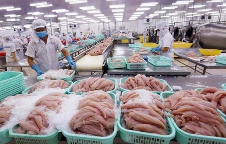 Dư địa lớn nhất để tăng kim ngạch không chỉ nằm ở việc mở thêm diện tích hay tăng thêm sản lượng, mà ở việc kéo dài chuỗi giá trị ngay tại Việt Nam Dư địa lớn nhất để tăng kim ngạch không chỉ nằm ở việc mở thêm diện tích hay tăng thêm sản lượng, mà ở việc kéo dài chuỗi giá trị ngay tại Việt Nam