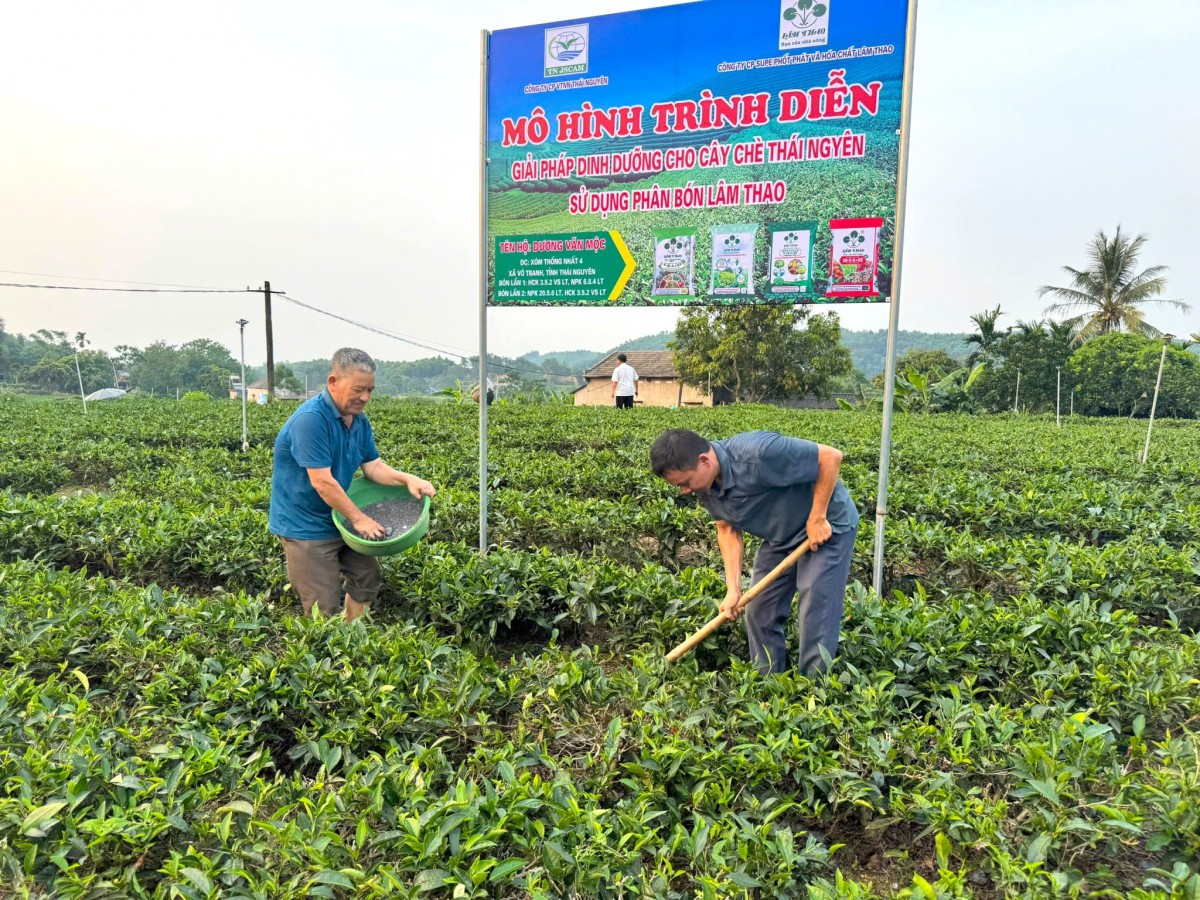 Supe L&acirc;m Thao đẩy mạnh nghi&ecirc;n cứu, ph&aacute;t triển c&aacute;c d&ograve;ng ph&acirc;n b&oacute;n chất lượng cao, th&acirc;n thiện với m&ocirc;i trường, đ&aacute;p ứng y&ecirc;u cầu của nền n&ocirc;ng nghiệp xanh v&agrave; n&ocirc;ng nghiệp tuần ho&agrave;n