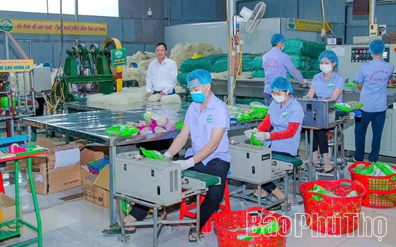 Phú Thọ nâng cao chất lượng sản phẩm OCOP gắn với bảo vệ môi trường