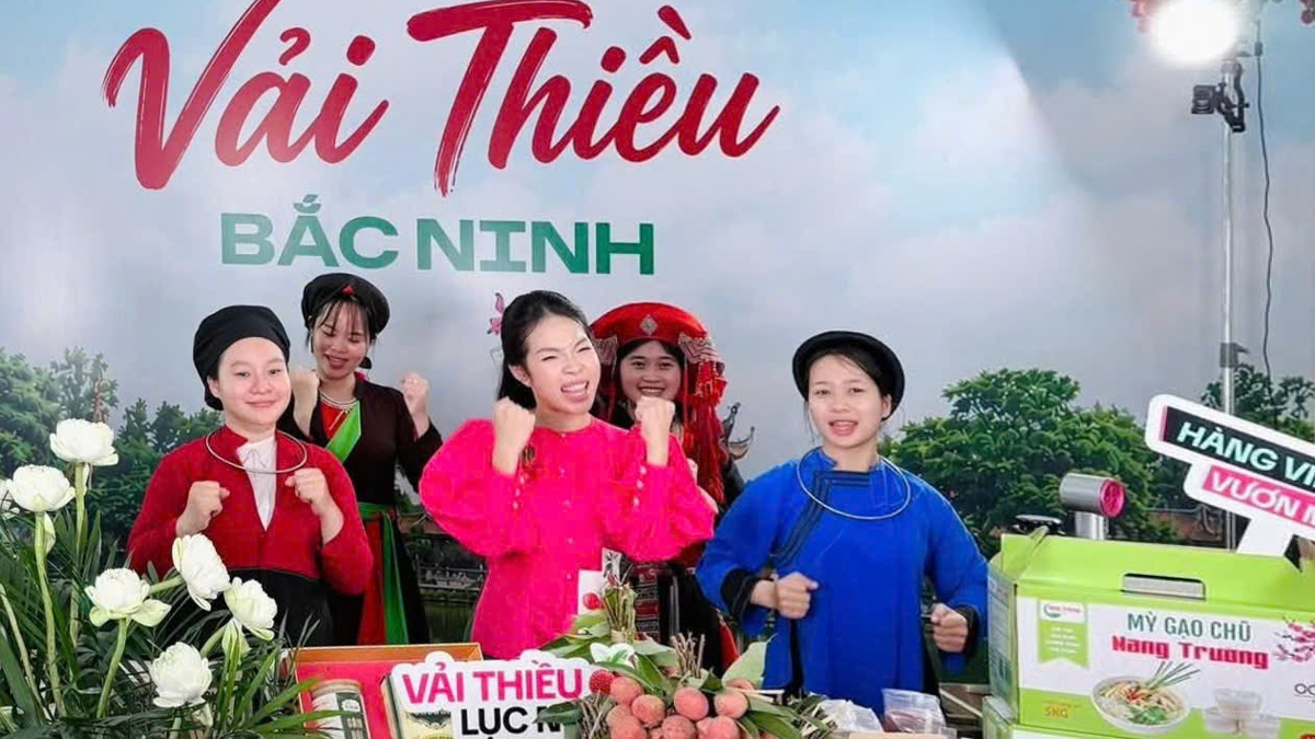Bắc Ninh tăng cường công tác quản lý Link M88.com tải ứng dụng về thương mại điện tử