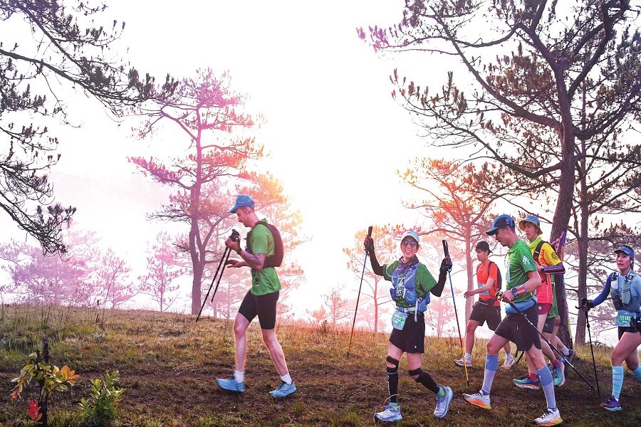 Các VĐV trên đường đua Dalat Ultra Trail. Ảnh: Văn Báu Các VĐV trên đường đua Dalat Ultra Trail. Ảnh: Văn Báu