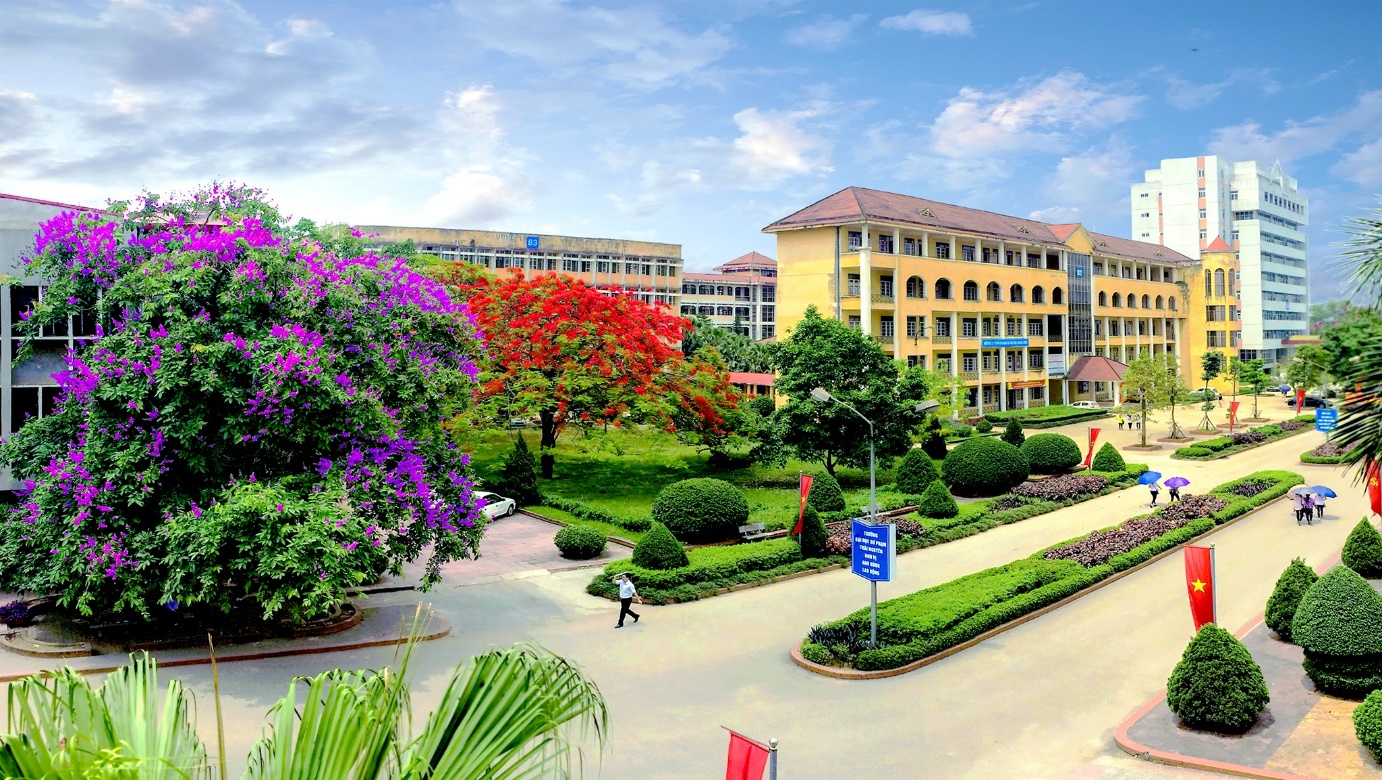 Đại học Thái Nguyên công bố điểm sàn năm 2026 của Viện Đào tạo và Nghiên cứu Xuất sắc