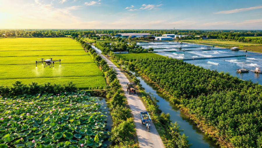 Đồng Tháp đặt mục tiêu tăng trưởng nông nghiệp 4,0 - 4,5% trong năm 2026