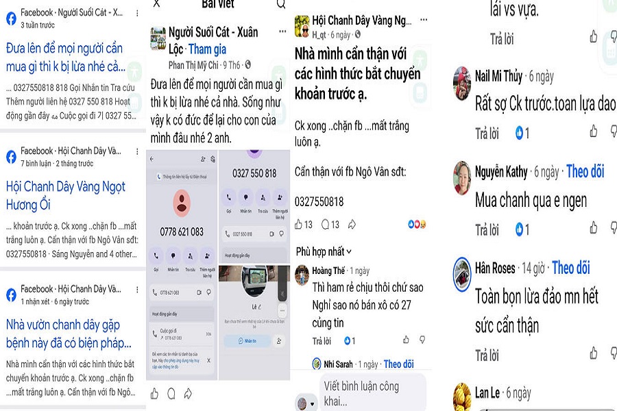 Nhiều người mua nông sản qua mạng cảnh báo trên mạng xã hội (chị Nguyễn Thị Loan cung cấp). Nhiều người mua nông sản qua mạng cảnh báo trên mạng xã hội (chị Nguyễn Thị Loan cung cấp).