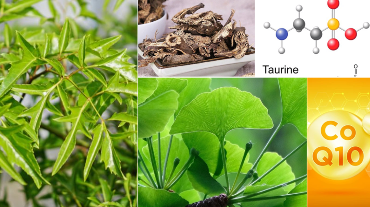 Một số thảo dược v&agrave; dưỡng chất tốt cho trẻ tăng động giảm ch&uacute; &yacute;