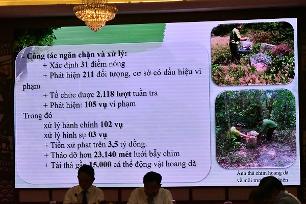 Th&ocirc;ng tin trong b&aacute;o c&aacute;o của &ocirc;ng Tống Ngọc Chung, Trưởng Ph&ograve;ng Quản l&yacute; bảo vệ Rừng, Chi cục trưởng Chi cục Kiểm l&acirc;m v&ugrave;ng IV thuộc Cục L&acirc;m nghiệp v&agrave; Kiểm l&acirc;m, Bộ N&ocirc;ng nghiệp v&agrave; M&ocirc;i trường