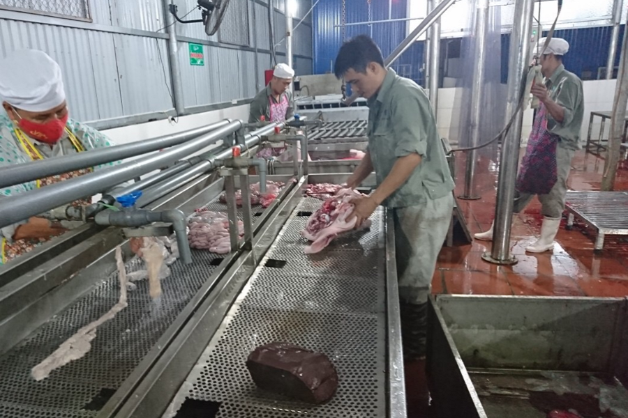 Đầu tư x&acirc;y dựng cơ sở giết mổ tập trung theo hướng hiện đại, đ&aacute;p ứng y&ecirc;u cầu về vệ sinh th&uacute; y v&agrave; an to&agrave;n thực phẩm..