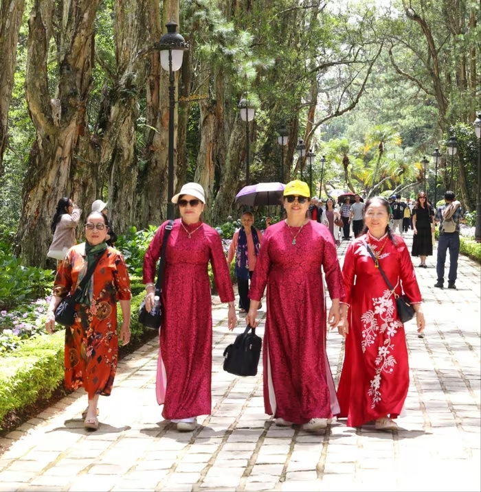 Ngay từ cổng v&agrave;o, du kh&aacute;ch đ&atilde; ấn tượng với con đường l&aacute;t đ&aacute; rợp b&oacute;ng c&acirc;y, hai h&agrave;ng tr&agrave;m th&acirc;n trắng cao v&uacute;t dẫn thẳng đến khu&ocirc;n vi&ecirc;n ch&iacute;nh.