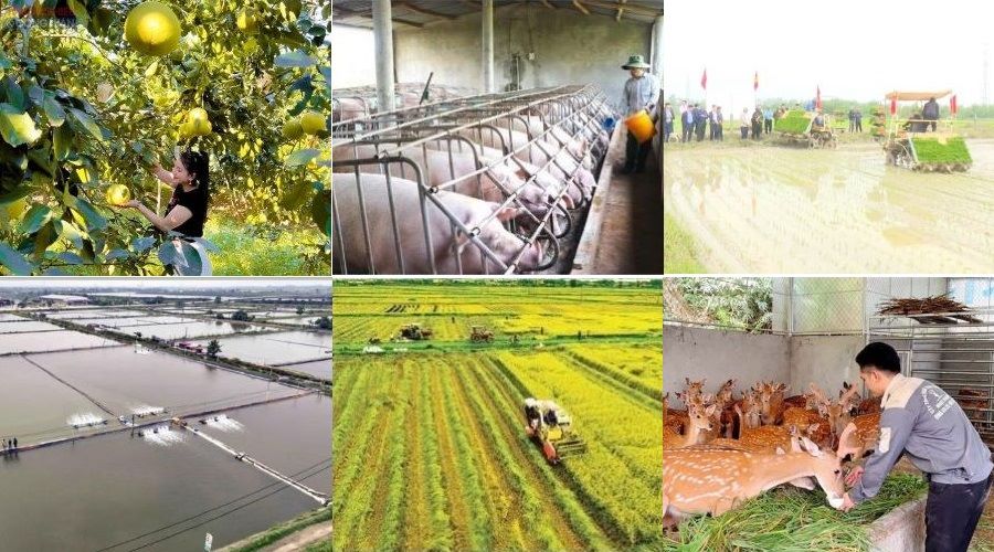 Hà Tĩnh được bổ sung gần 165 tỷ đồng thực hiện Chương trình mục tiêu quốc gia