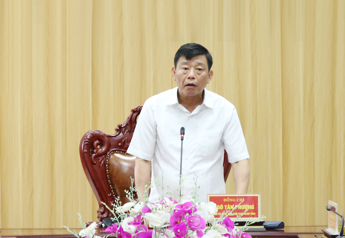 Phó Chủ tịch UBND tỉnh Ngô Tân Phượng kết luận buổi làm việc. Phó Chủ tịch UBND tỉnh Ngô Tân Phượng kết luận buổi làm việc.