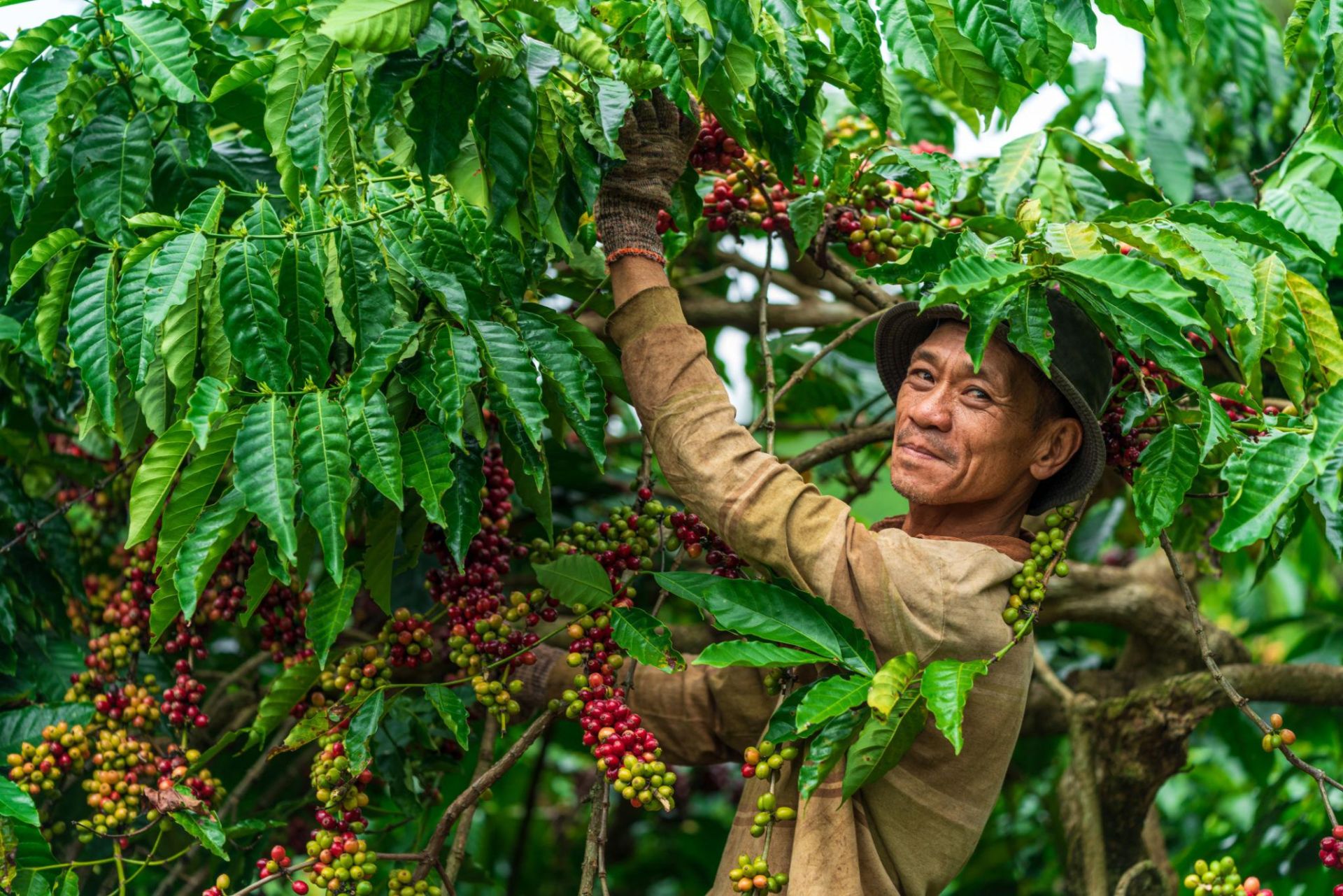 Ảnh minh họa, nguồn: Internet Ảnh minh họa, nguồn: Internet