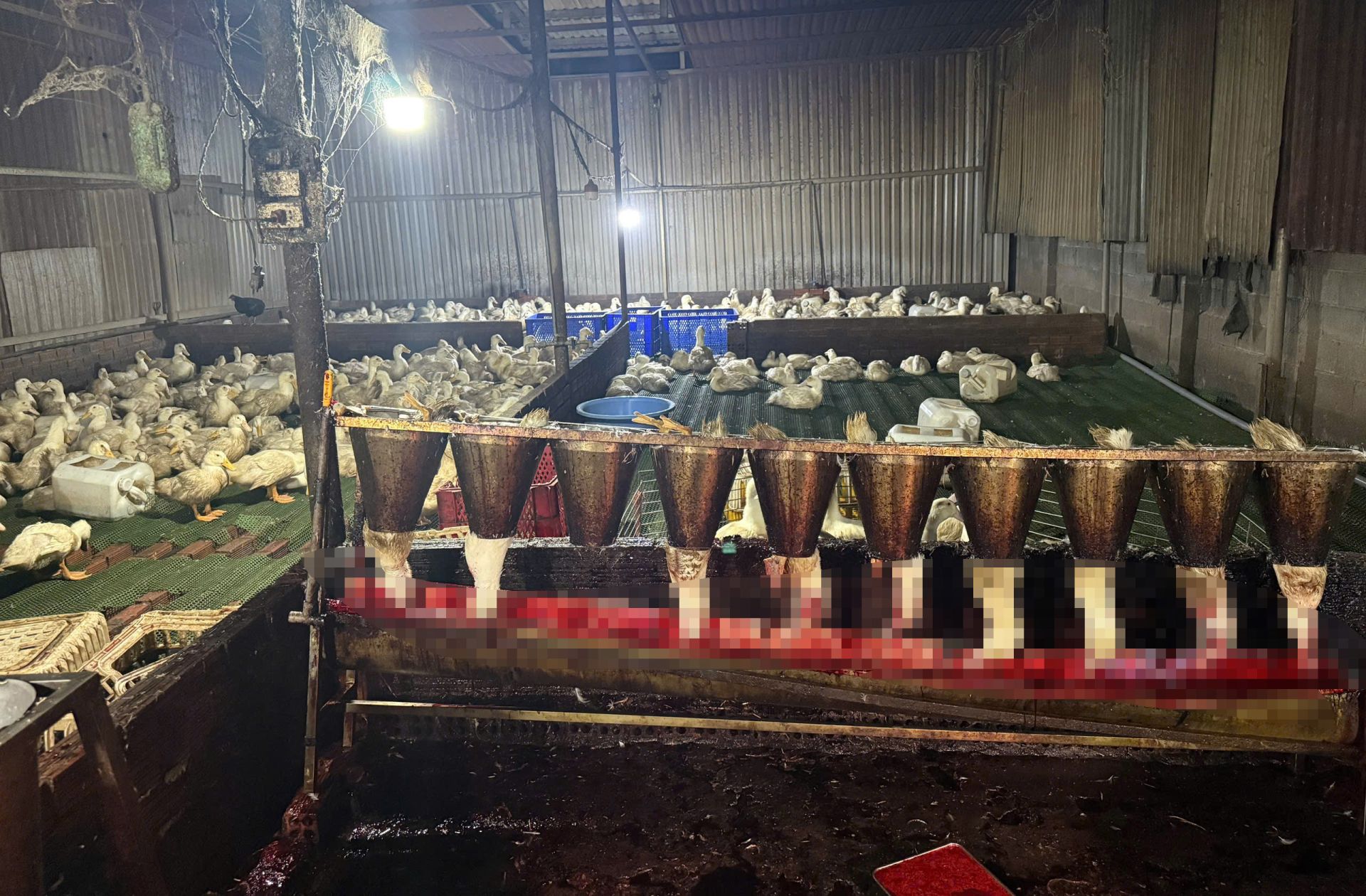 Đo&agrave;n kiểm tra lập bi&ecirc;n bản xử l&yacute; c&aacute;c trường hợp vi phạm.
