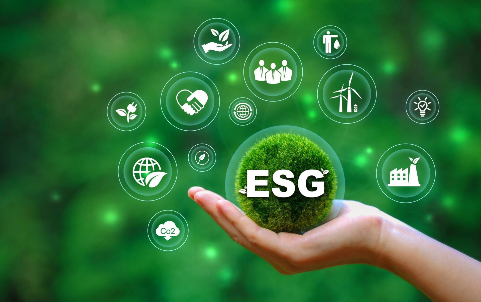 ESG và cuộc thử lửa của thương hiệu Việt trong kỷ nguyên xanh