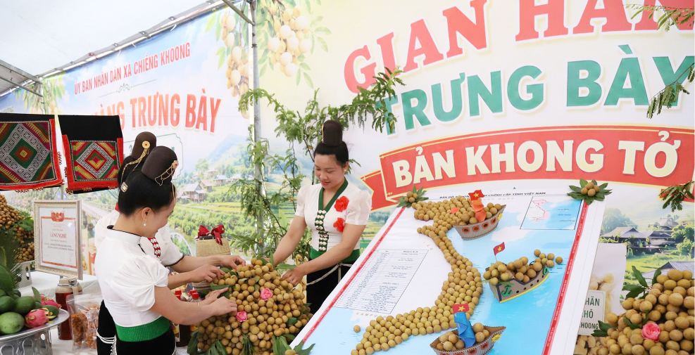 Sơn La: Lần đầu tổ chức hội thi xoáy long nhãn, đẩy mạnh tiêu thụ nông sản trên nền tảng số