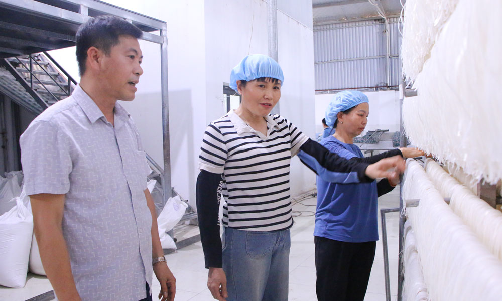 Bắc Ninh: Giữ vững thương hiệu và nâng cao sức cạnh tranh sản phẩm OCOP