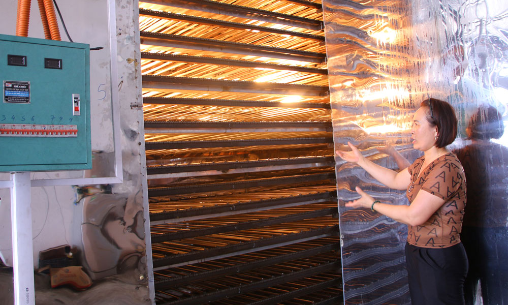 Hợp tác xã Sản xuất, kinh doanh tiêu thụ mỳ Trại Lâm (xã Nam Dương) đầu tư dây chuyền tráng - sấy mỳ công nghệ cao. Hợp tác xã Sản xuất, kinh doanh tiêu thụ mỳ Trại Lâm (xã Nam Dương) đầu tư dây chuyền tráng - sấy mỳ công nghệ cao.