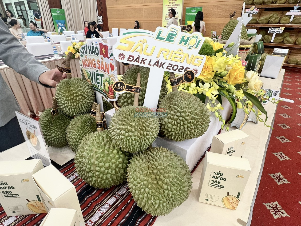 Chính thức giới thiệu “Lễ hội Sầu riêng Đắk Lắk - Kết nối vươn xa”