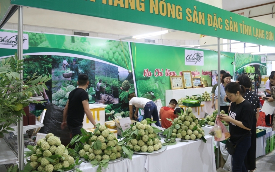 Na Chi Lăng Na Chi Lăng