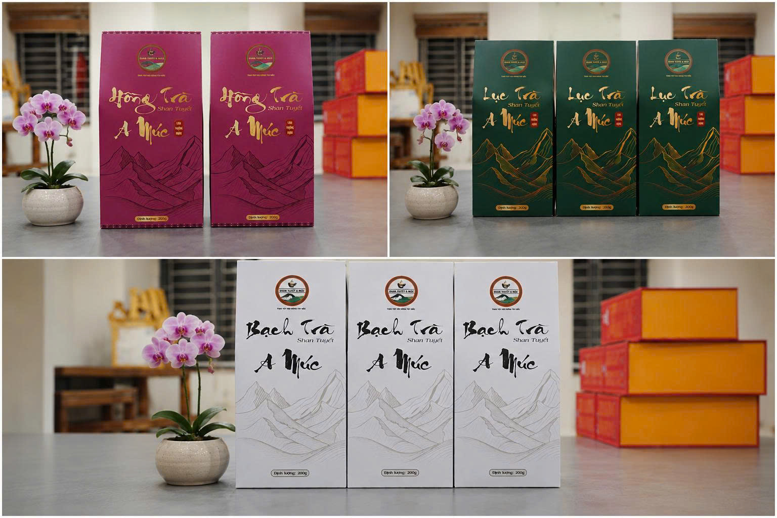 Ba sản phẩm ch&egrave; Shan tuyết A M&uacute;c (Hồng tr&agrave;, Lục tr&agrave; v&agrave; Bạch tr&agrave;) của chủ thể tham gia đ&aacute;nh gi&aacute;, ph&acirc;n hạng sản phẩm OCOP năm 2026.