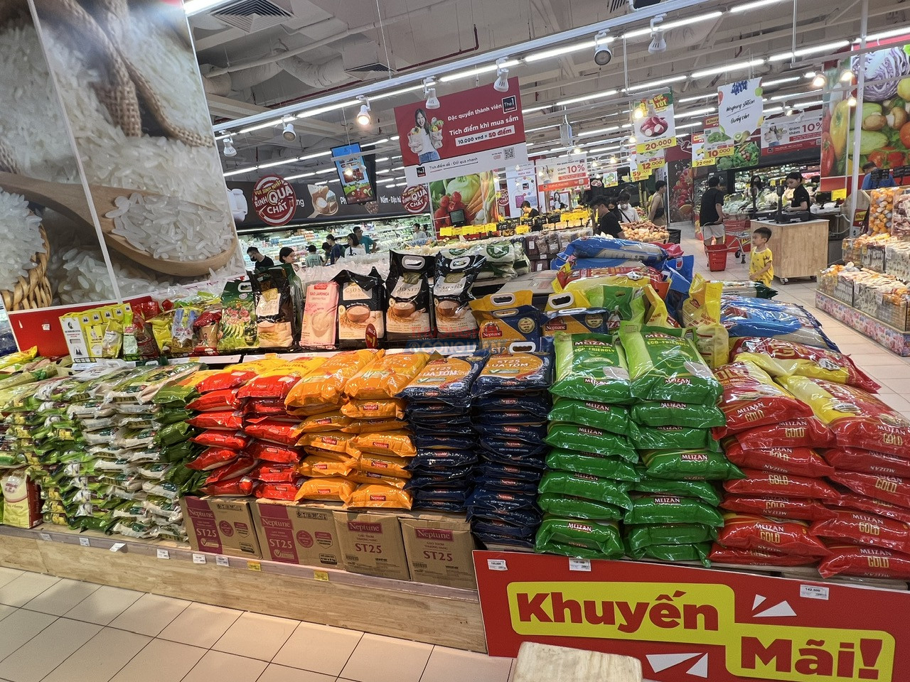 Giá gạo xuất khẩu của Việt Nam tăng mạnh