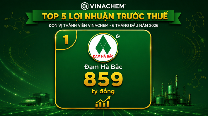 Đạm Hà Bắc: Hiệu quả kinh doanh tạo đòn bẩy cho thương hiệu phát triển bền vững