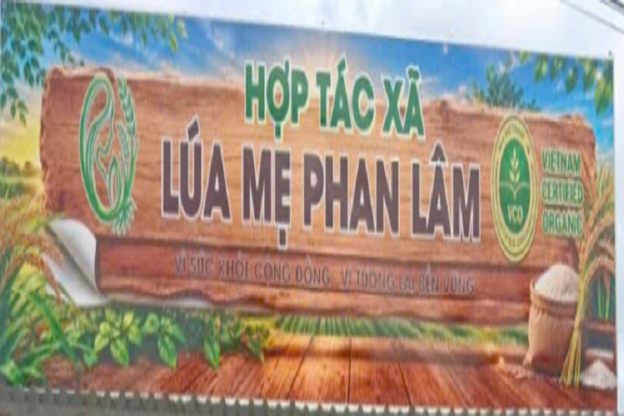 HTX L&uacute;a Mẹ Phan L&acirc;m tại tại th&ocirc;n Kai Ya &ndash; Ya M&acirc;u, x&atilde; Phan Sơn, tỉnh L&acirc;m Đồng.