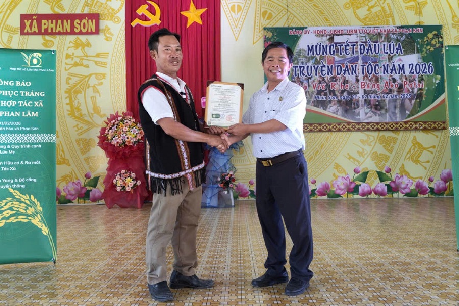 Trao giấy chứng nhận hữu cơ cho sản phẩm l&uacute;a Mẹ Phan Sơn th&aacute;ng 1/2026.