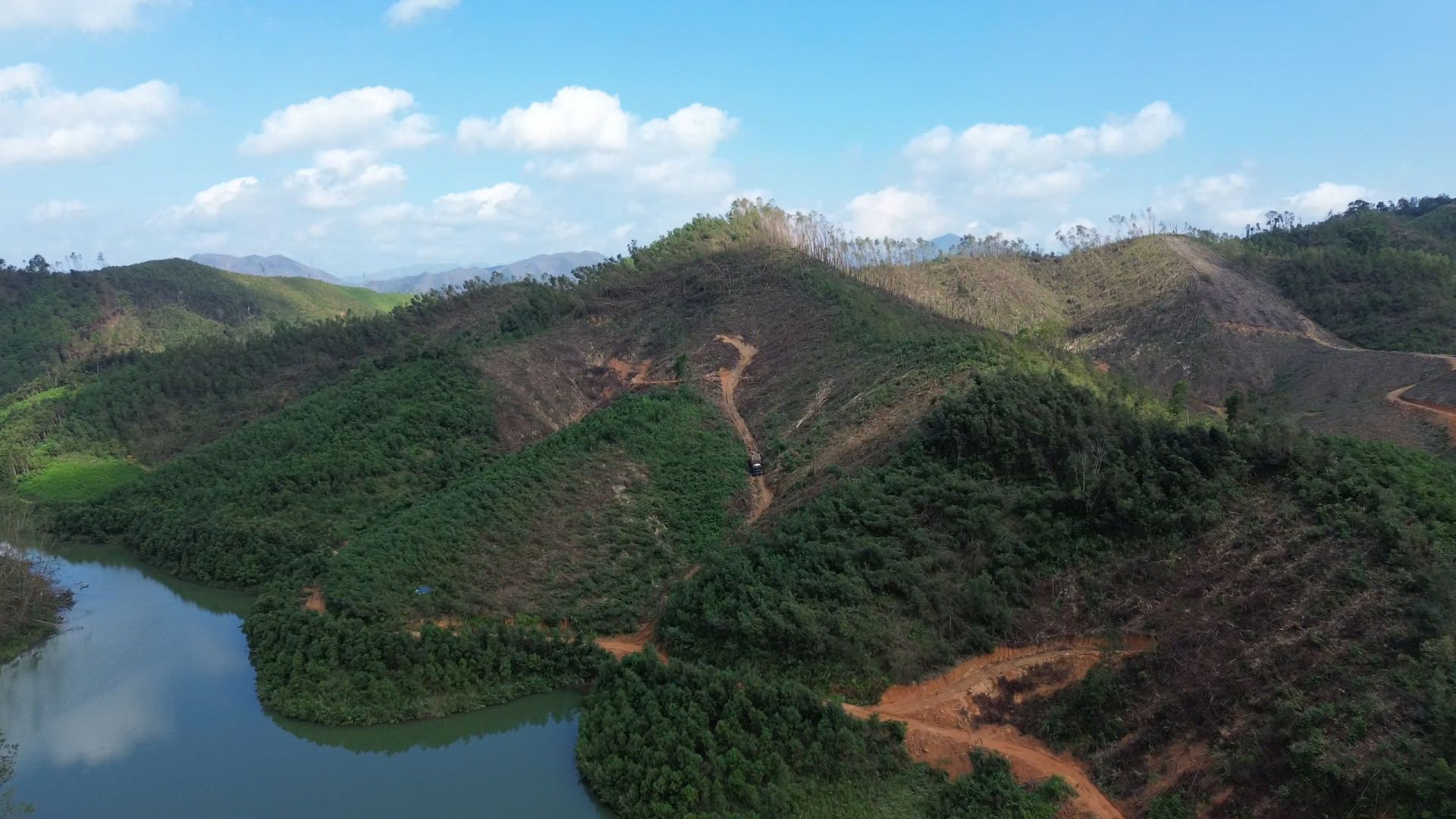 Quảng Ninh vượt kế hoạch trồng rừng