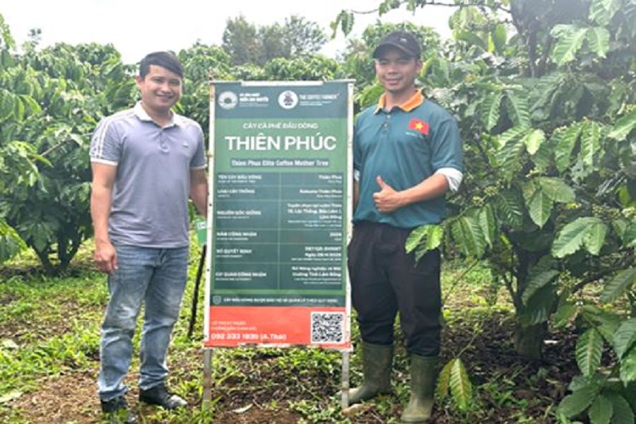 Anh Vũ Minh Thái (bên phải) bên vườn cây đầu dòng được công nhận. (Ảnh: Vân Thọ) Anh Vũ Minh Thái (bên phải) bên vườn cây đầu dòng được công nhận. (Ảnh: Vân Thọ)